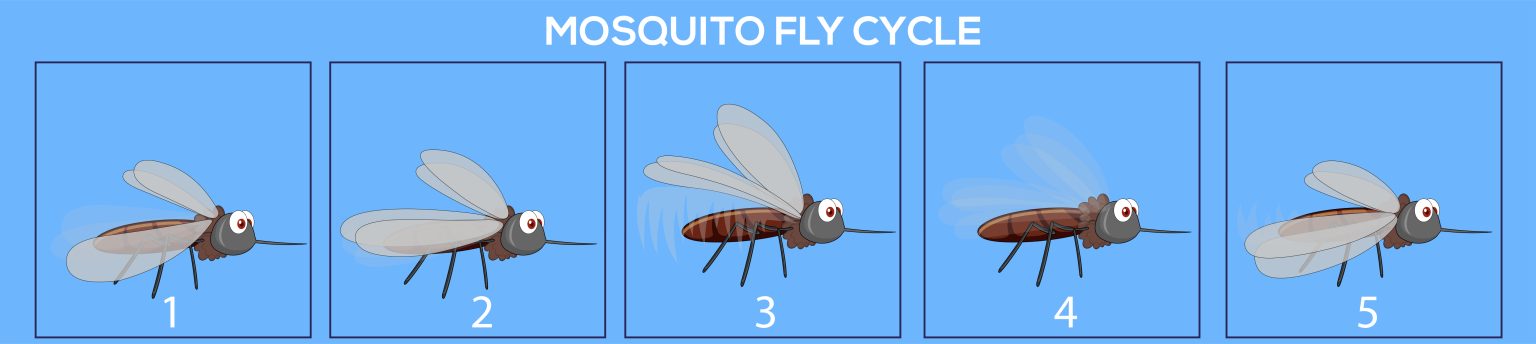 Pubblicità video grafica