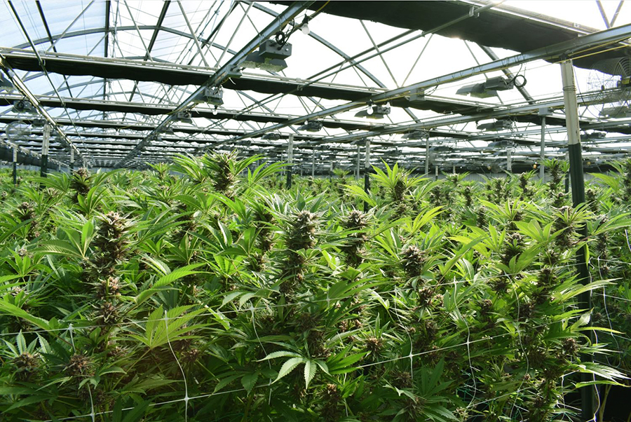 CIA Agricoltori Giovani Made in Italy