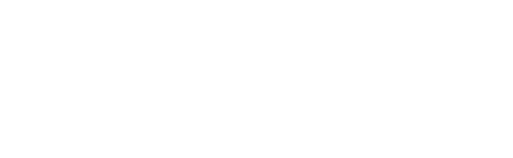 Logo videomnia bianco
